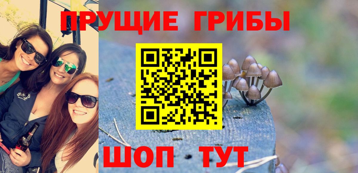 Псилоцибиновые грибы Psilocybe Учалы